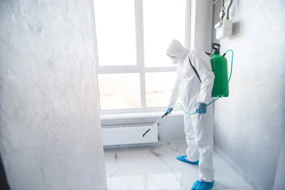 A Disinfector In A Protective Suit