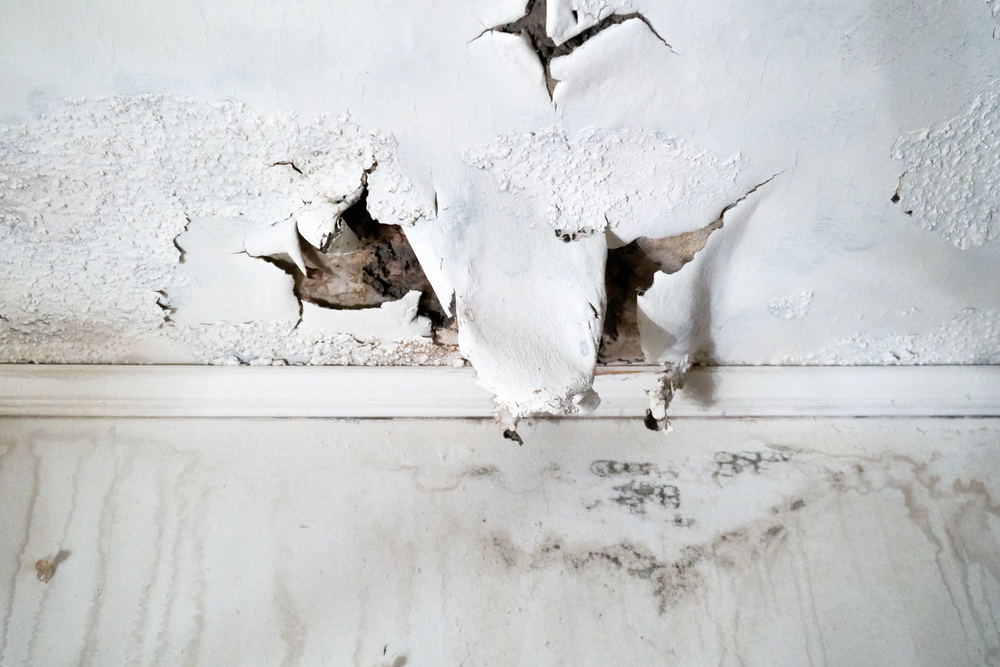 Peeling and damaged white ceiling paint above a wall in the home, with visible water stains and mold, indicating water damage and moisture problems.